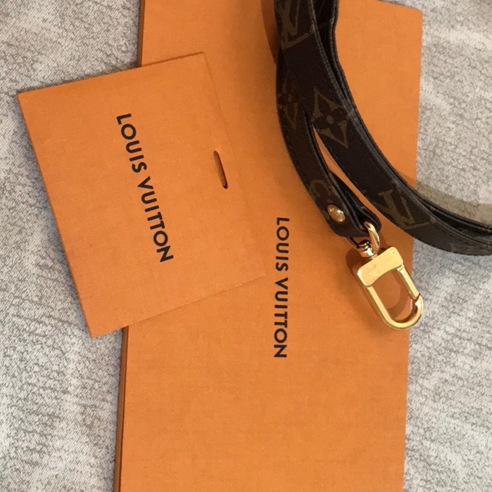 Authentic Vuitton Pochette Accessoires - Picture 9 of 9